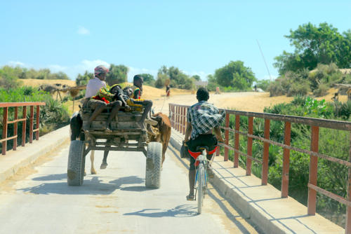 Madagascar - région de Tuléar, piste vers Ifaty
