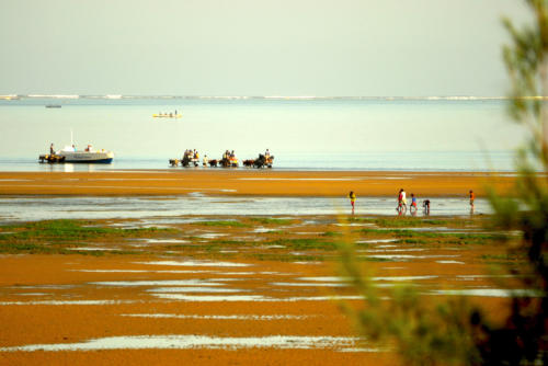  Madagascar - région de Tuléar, le port désensablé a rendu vie à Tuléar