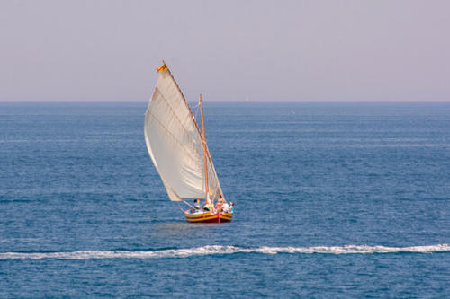 France - Baie de Collioure, barques catalanes