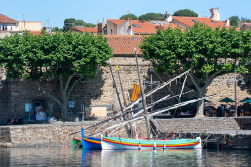 France - Ville de Collioure, le port et ses barques catalanes