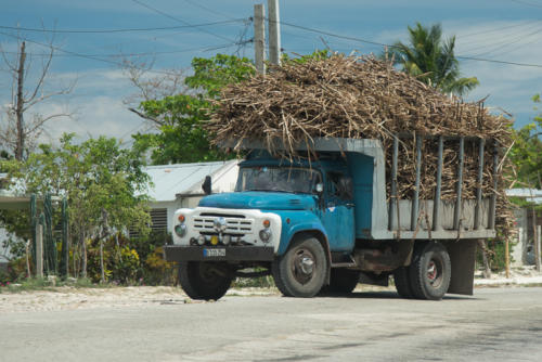 Transport de cannes à sucre sur la route de Santiago