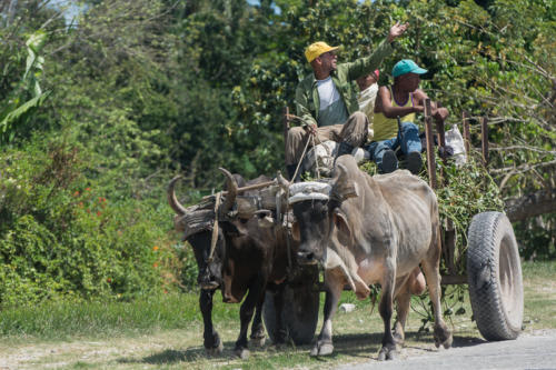 Transports cubains en tout genre sur la route de Santiago