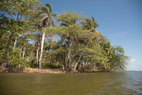 Région de Baracoa, entre mer et rivière