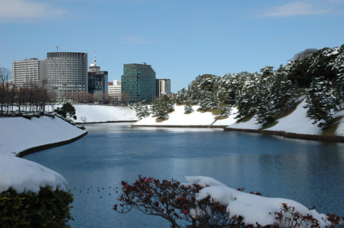 Japon,Tokyo - Tokyo sous la neige 