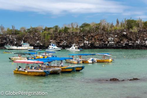 Galapagos, Isabela, Puerto vilamil