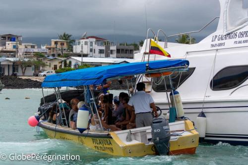 Galapagos, Santa Cruz, Puerto Ayora, départ des bateaux de croisières