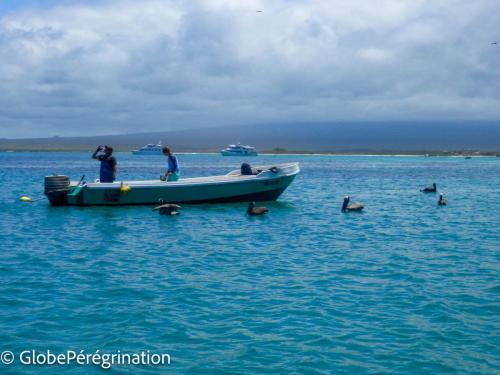Galapagos, Isabela, sortie snorkeling, pêcheurs et pélicans