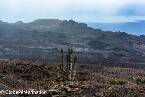 Galapagos, Isabela, volcan Sierra Negra