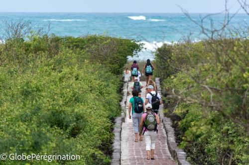 Galapagos, Santa Cruz - Chemin d'accès à la plage de Tortuga