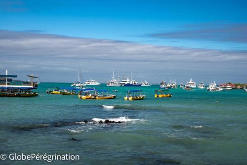 Galapagos, Santa Cruz - Puerto Ayora