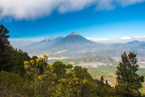 Vue sur le volcan Fuego du haut du Pacaya