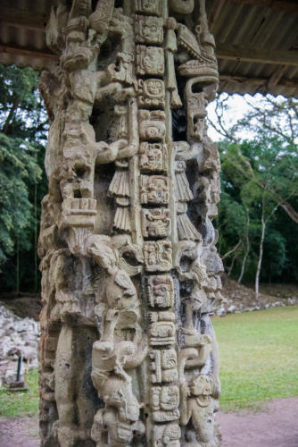 Site archéologique maya de Copan ruinas, série de glyphes sur une stèle