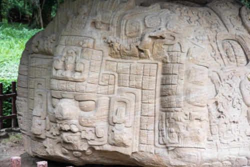 Site archéologique maya de Quiriguá, sculpture zoomorphique de tortue