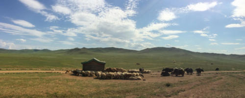Mongolie, de Oulan Bator à Karakorum
