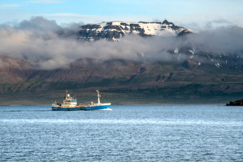 Islande, Eskifjordur, les bateaux rentrent en fin de journée