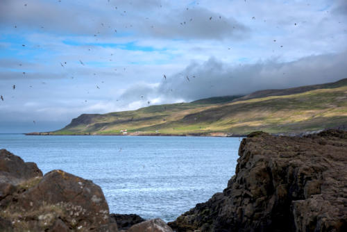 Islande, vue sur le fjord à Bakkagerdi