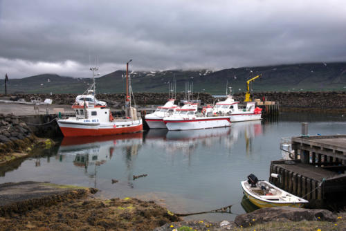 Islande, Bakkagerdi, petit port de Borgarfjarðarhöfn