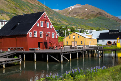 Islande, les bâtiments au musée du hareng à Siglufjordur
