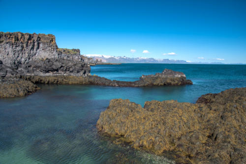 Islande, Arnarstapi, falaise de basalte