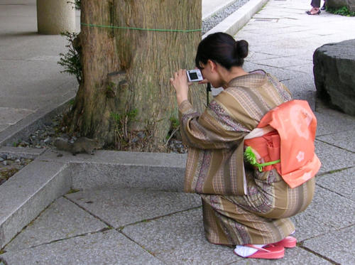 Japon, Kamakura - Jeune japonaise en kimono au temple Kotoku-in