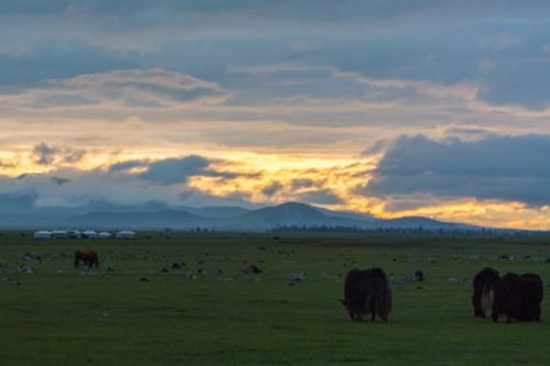Mongolie-vallée Orkhon - coucher du soleil
