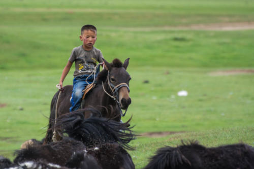 Mongolie-vallée Orkhon, jeune cavalier, gardien de troupeaux