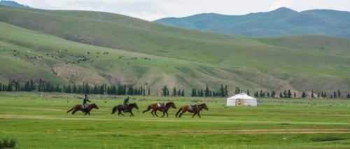 Mongolie-vallée Orkhon, chevauchées à cheval