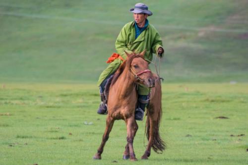 Mongolie - vallée de l'Orkhon. Le chef de la famille nomade