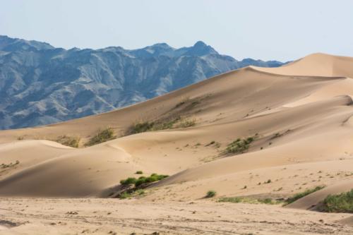 Mongolie - le Gobi, le sable arrêté par la montagne