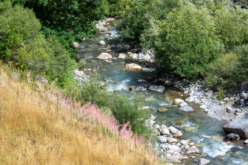 Mercantour, Saint-Dalmas-le-Selvage,  la rivière