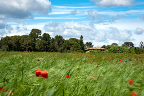Occitanie, Montpellier côté nature