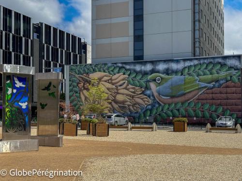 Nouvelle Zélande Sud - Christchurch, street art