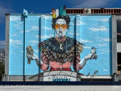 Nouvelle Zélande Sud - Christchurch, street art