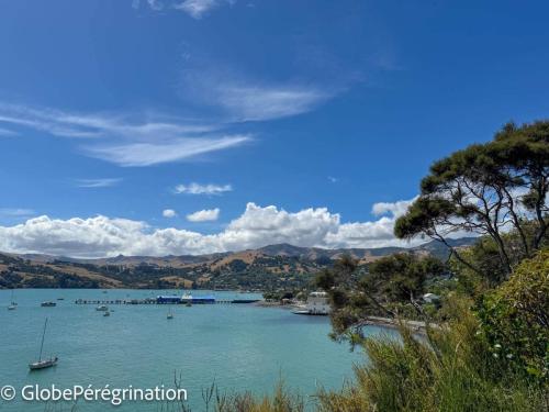 Nouvelle Zélande Sud -  Baie d'Akaroa