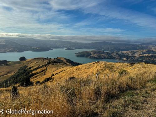 Nouvelle Zélande Sud -  Baie d'Akaroa
