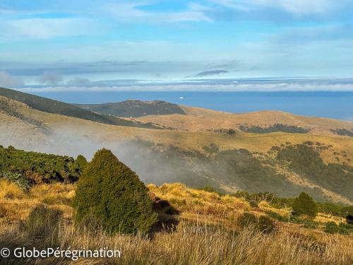 Nouvelle Zélande Sud -  Baie d'Akaroa