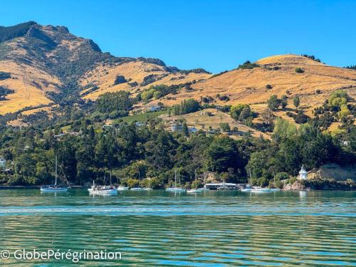 Nouvelle Zélande Sud -  Baie d'Akaroa