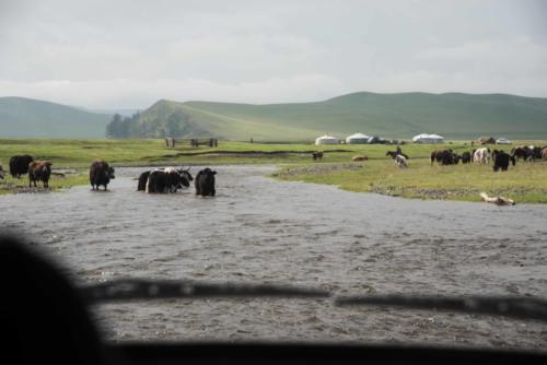 Mongolie - de Karakorum à l'Orkhon, on traverse des rivières 