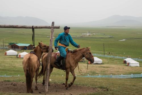 Mongolie - entre Karakorum et l'Orkhon. Le cheval est prêt à la porte de la yourte