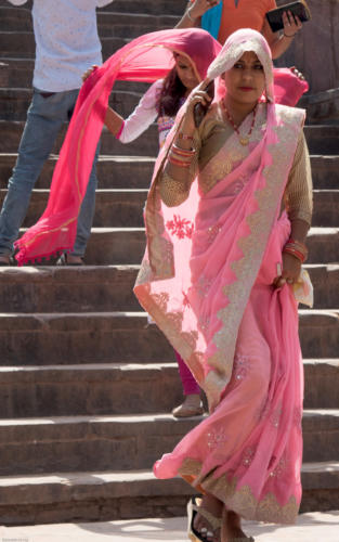 Inde-Rajasthan-Saris