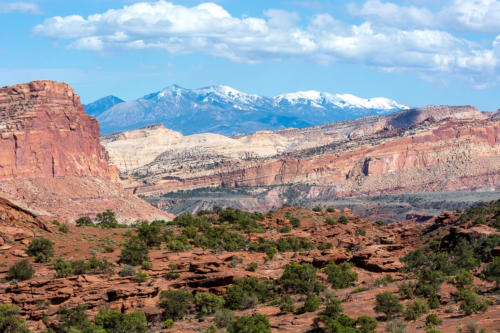 Ouest américain - Petrified Forest & Capitol Reef