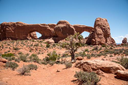 Arches - double arche