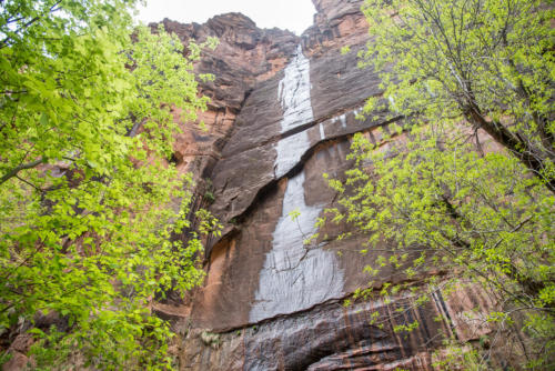 Petite cascade à Zion National Park