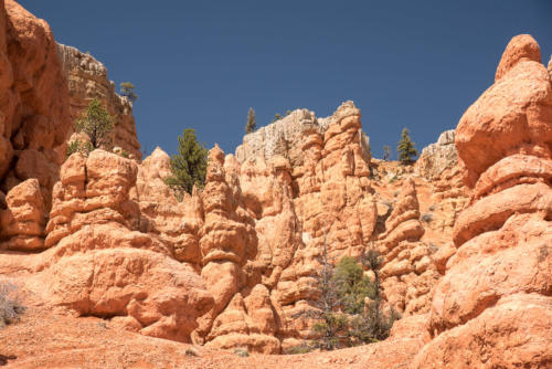 Sculptures de roches rouges en traversant la Dixie Forest