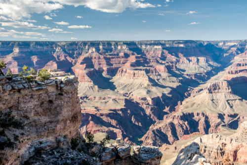 Grand canyon - panorama