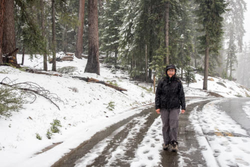 Bonne épaisseur de neige à Sequoia National Park