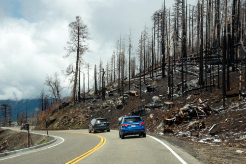 Yosemite Valley -Dégâts des incendies