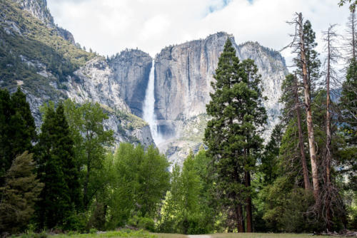 Yosemite Valley - cascade
