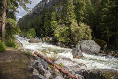 Yosemite Valley - Merced River