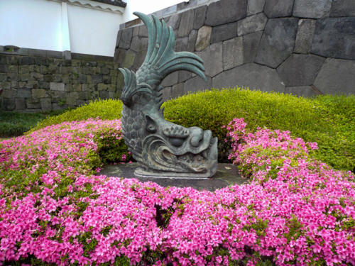 Japon,Tokyo - Centre de Tokyo, jardins du palais impérial